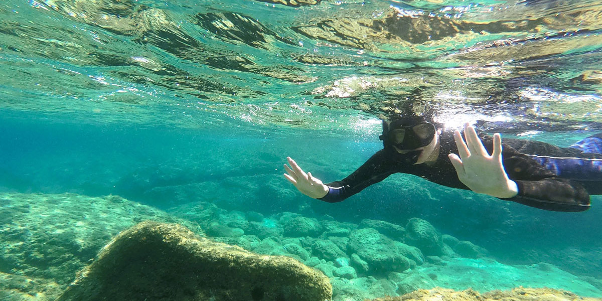Protéger notre Horizon : Pourquoi le Bleu est l'Avenir du Vert